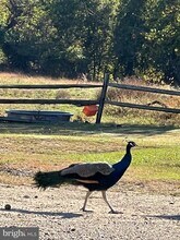 Building Photo - 7606 Woodyard Rd