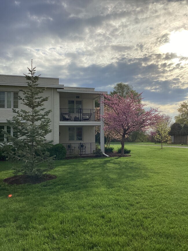 Foto del edificio - 6204 W Kimberly Rd