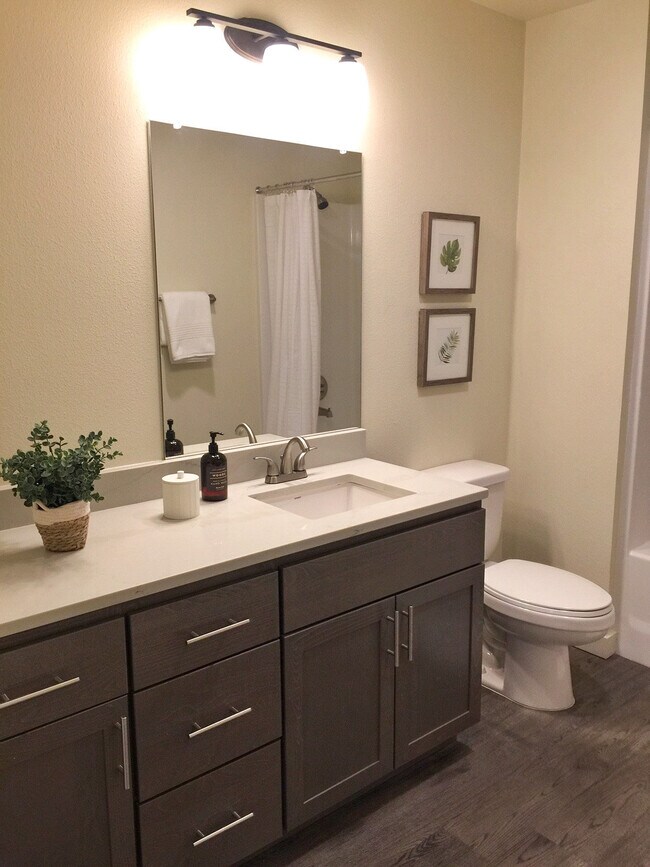 Ava Apartments Apartments in Vancouver, WA