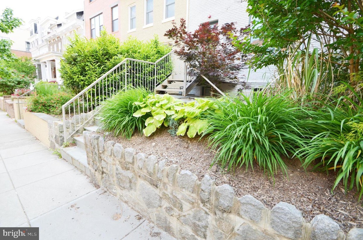 2448 Ontario Rd NW Unit 2, Washington, DC 20009 Condo for Rent in