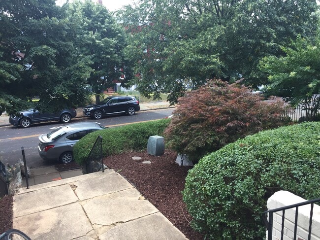 Front Yard - 126 R St NE