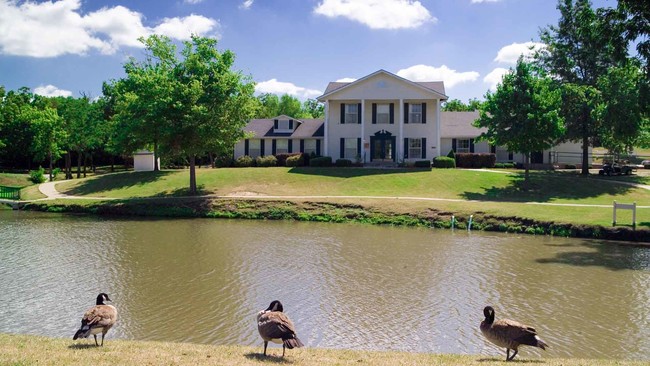 Building Photo - Southfork
