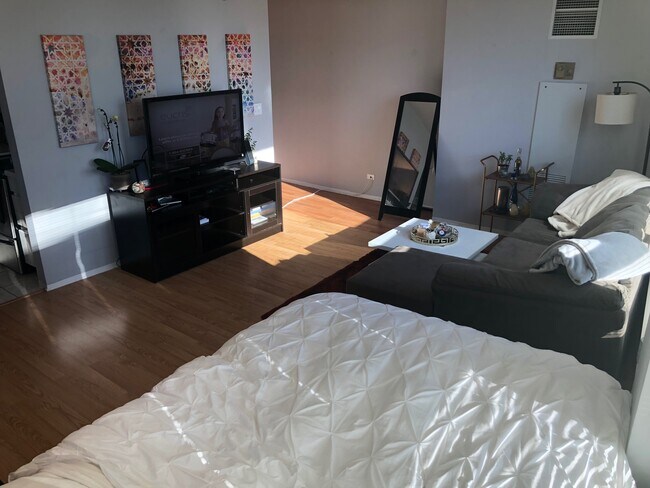 Living Room - 440 N Wabash Ave