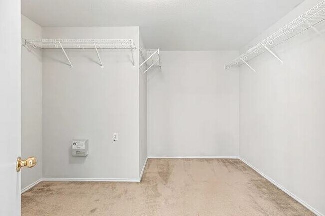 Foto del edificio - 117 Willow Cove