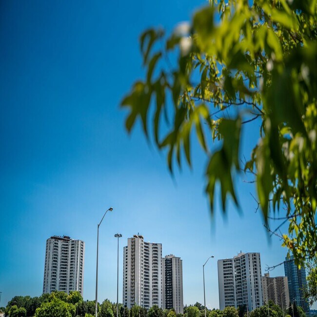 Photo du bâtiment - Graydon Hall