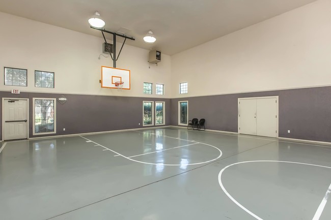 INDOOR BASKETBALL COURT - The Ridge of Haysville