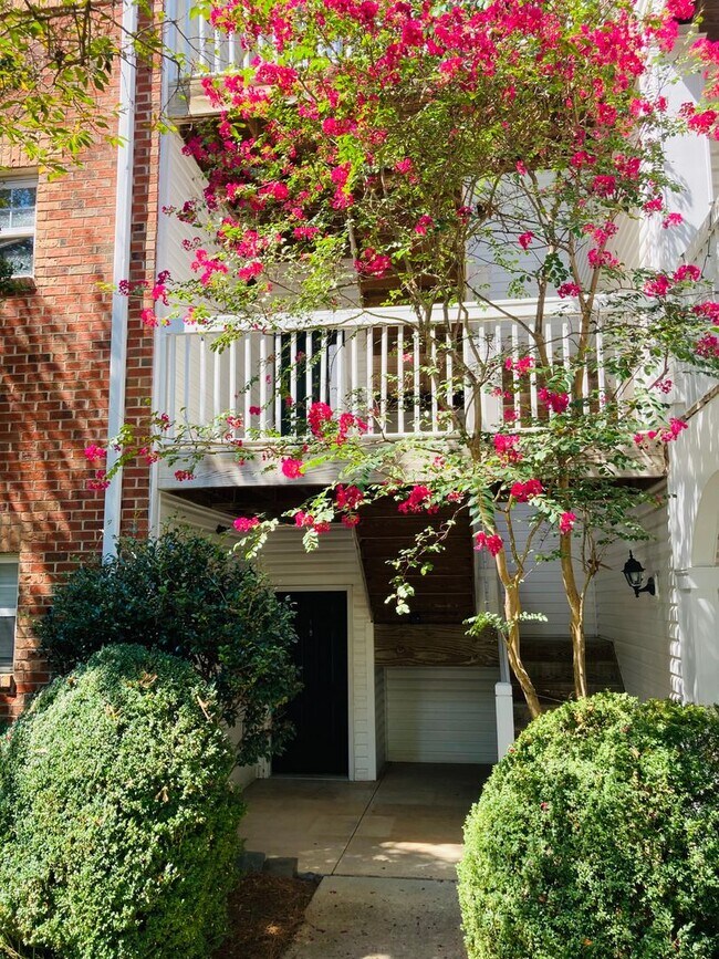 Building Photo - Renovated Southpark condo!