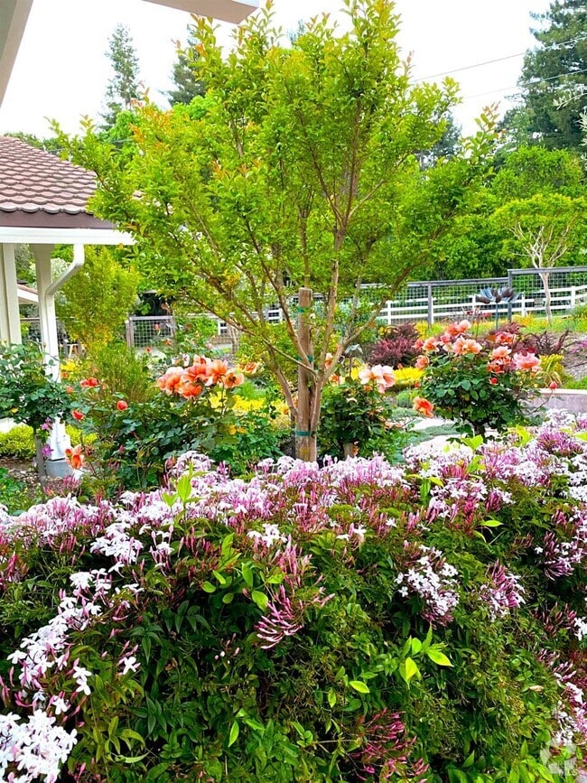 Diamond A Ranch Estates Apartments for Rent with Hardwood Floors Sonoma, CA 1 Rentals