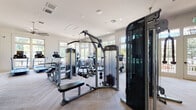 Located at 115 Great Lawn Dr in Summerville, SC, this single-floor amenity space combines a fully equipped fitness center with a comfortable café lounge area, offering residents a comprehensive wellness and social destination.

The fitness center is generously proportioned, featuring herringbone-patterned flooring throughout and an abundance of natural light streaming in through large windows and glass doors that open to an outdoor area. The space is outfitted with a wide range of professional-grade equipment, including multiple treadmills, elliptical machines, cable and weight machines, and strength-training stations. Ceiling fans keep the environment comfortable, and wall-mounted mirrors help maximize the sense of space. Decorative artwork with a cycling theme adds a sporty aesthetic touch.

Adjacent to the fitness area, the café lounge provides a bright and inviting retreat. Floor-to-ceiling windows frame views of lush greenery and the surrounding community, while bistro-style tables and upholstered seating create an ideal spot for relaxing. A separate lounge area features a striking herringbone-tiled fireplace wall with a mounted flat-screen TV, built-in shelving with curated décor, and plush banquette seating. Together, these spaces deliver a polished, resort-style experience designed for both activity and leisure.