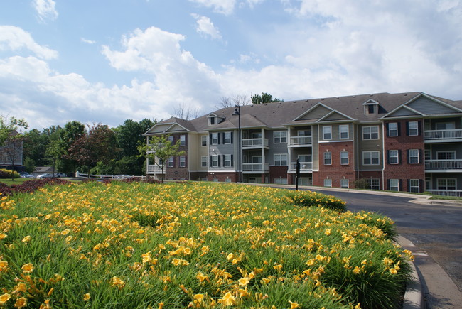 Foto del edificio - The Promenade at Beaver Creek