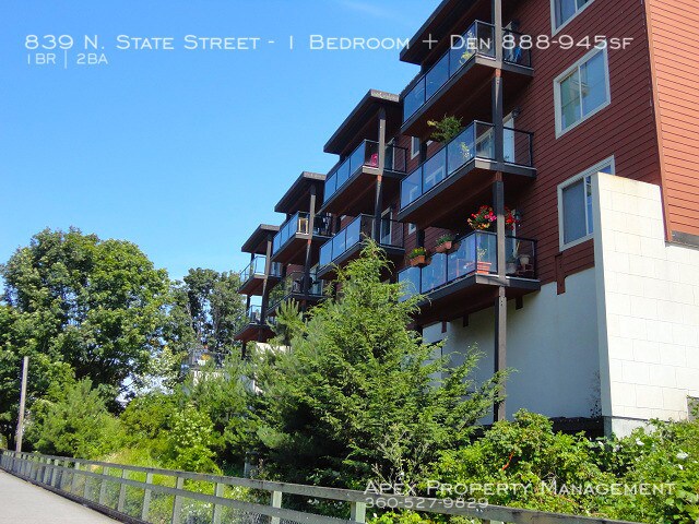 Primary Photo - DOWNTOWN - The Bella Mar - AVAILABLE NOW!!!