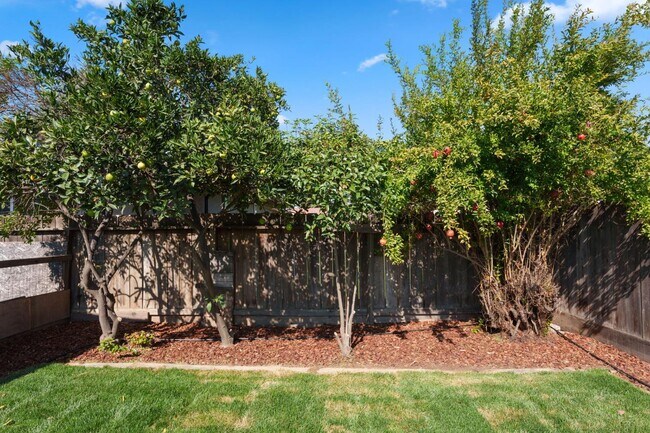 Foto del edificio - 6804 N Backer Ave