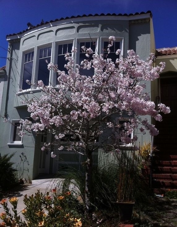 Primary Photo - 2591 14th Ave