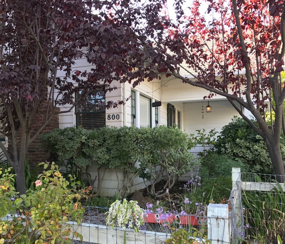 Primary Photo - 2 br, 1 bath Apartment - 800 B Street