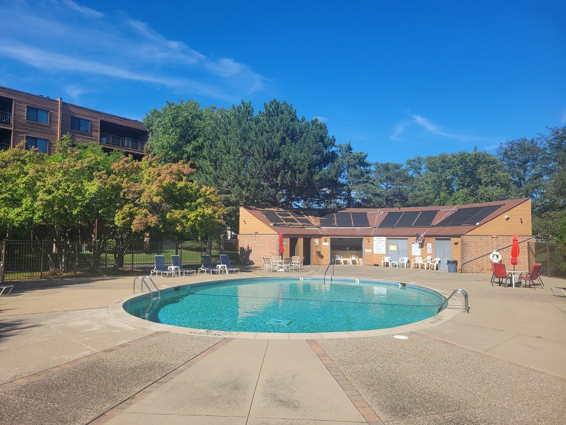 Outdoor pool with tons of space for entertaining and grilling out (shared grills available) - 3320 Louisiana Ave S
