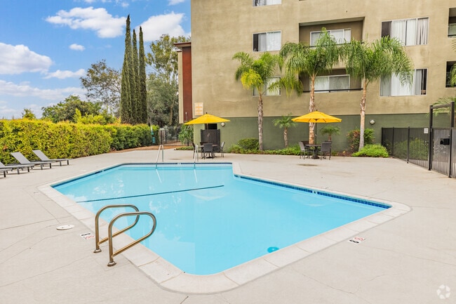 Pool - The Penthouse Apartments "Call for Specials"