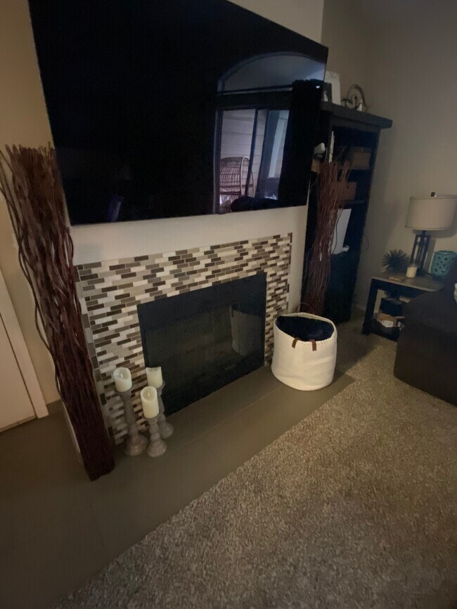 Chimenea en la sala de estar - 1641 W Canal Cir, 735