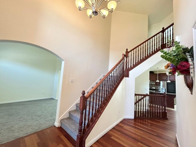 Foto del edificio - 5665 Piney View Ct