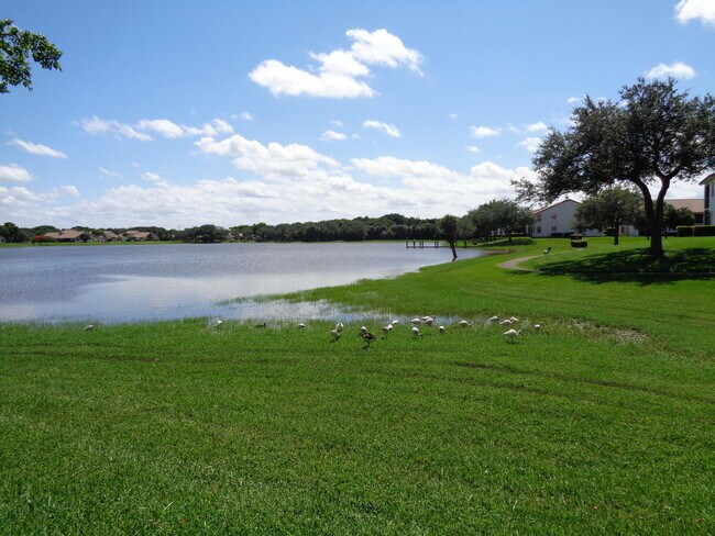Foto del edificio - 3050 Norwood Pl