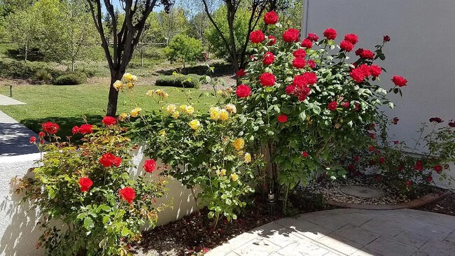 Building Photo - 3204 Amaryllis Cir