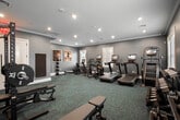 Located at 74 Hauppauge Rd in Commack, NY, this fitness center offers a comprehensive and well-appointed exercise facility designed to support a full range of workout routines. The room is finished with a neutral gray color palette, crisp white crown molding, and white baseboard trim, lending a polished and professional atmosphere. Recessed lighting throughout the ceiling provides bright, even illumination, while multiple windows fitted with white plantation shutters allow natural light to fill the space and offer views of the surrounding greenery.

The flooring consists of durable, patterned carpet tiles in muted blue-green tones, well-suited for a high-traffic fitness environment. Cardio equipment is prominently featured, including multiple treadmills with integrated display screens, an elliptical trainer, a stair climber, and a stationary bike. Strength training is thoroughly supported by a rack of dumbbells, kettlebell sets in varying weights, a weight bench, and a squat rack with barbells. A floor-length mirror along one wall enhances the sense of space and allows users to monitor their form. French doors with glass panels provide access to an adjoining area. The overall design balances functionality with a refined aesthetic, making it an inviting and practical space for fitness.