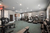 Located at 74 Hauppauge Rd in Commack, NY, this fitness center offers a comprehensive and well-appointed exercise facility designed to support a full range of workout routines. The room is finished with a neutral gray color palette, crisp white crown molding, and white baseboard trim, lending a polished and professional atmosphere. Recessed lighting throughout the ceiling provides bright, even illumination, while multiple windows fitted with white plantation shutters allow natural light to fill the space and offer views of the surrounding greenery.

The flooring consists of durable, patterned carpet tiles in muted blue-green tones, well-suited for a high-traffic fitness environment. Cardio equipment is prominently featured, including multiple treadmills with integrated display screens, an elliptical trainer, a stair climber, and a stationary bike. Strength training is thoroughly supported by a rack of dumbbells, kettlebell sets in varying weights, a weight bench, and a squat rack with barbells. A floor-length mirror along one wall enhances the sense of space and allows users to monitor their form. French doors with glass panels provide access to an adjoining area. The overall design balances functionality with a refined aesthetic, making it an inviting and practical space for fitness.
