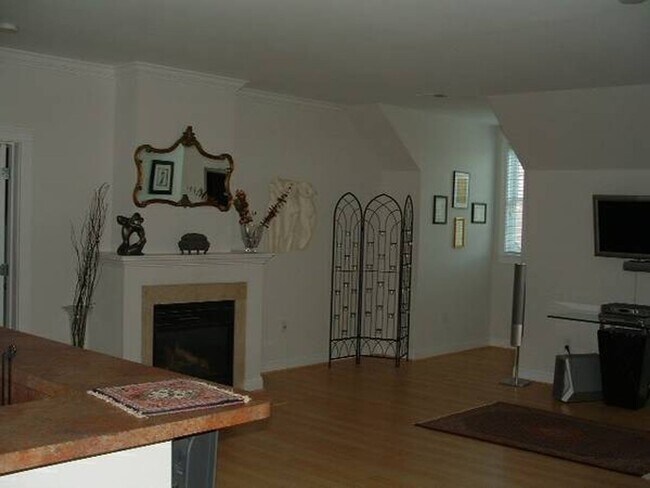 Foto del edificio - Downtown Norfolk