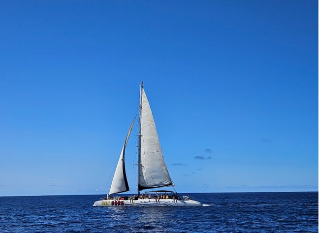 Foto del edificio - 1153 Sunset Cliffs Blvd