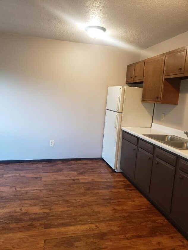 408 McKay SApt Unit 20, Alexandria, MN 56308 Condo for Rent in