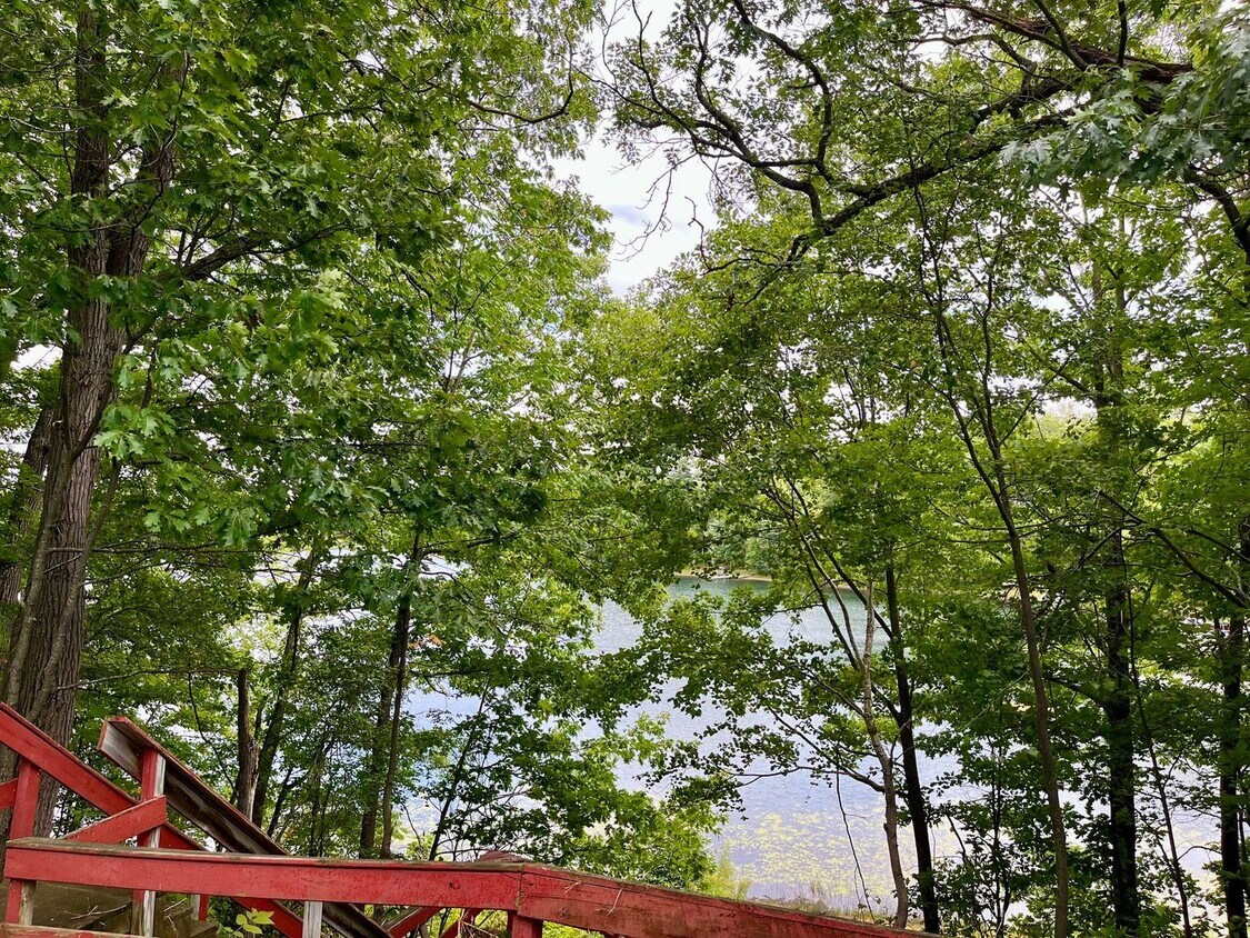 Foto principal - 3 Bed 1 Bath in Rhinelander on the water!