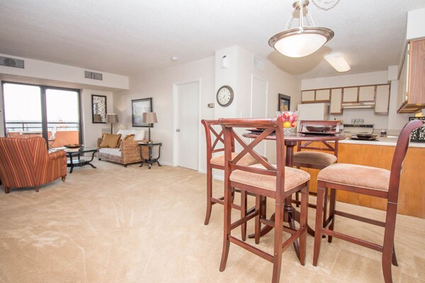 River Park Tower Apartment Homes Apartments Newport News