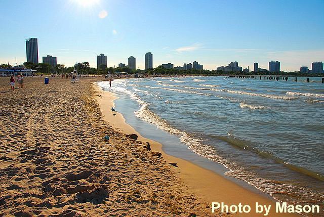 Photo - 1636 N Wells St Apartment