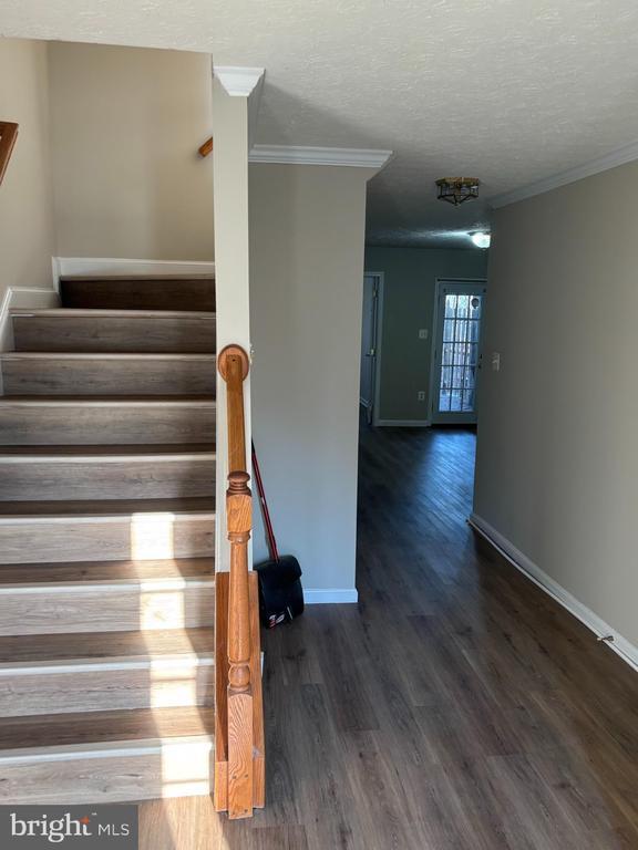 Building Photo - 8002 Bullfinch Pl