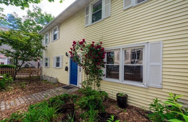 Building Photo - 53 Cedar St