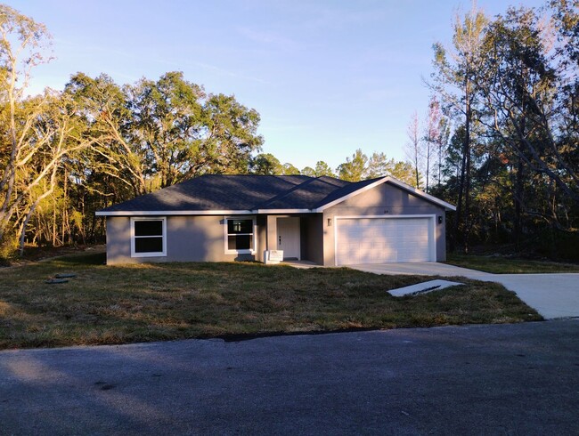 Building Photo - New Ocklawaha Home