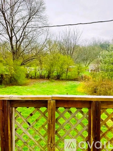 Fenced Back Yard from back Deck - 636 Washington Ave