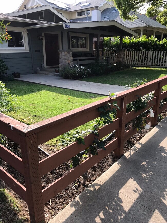 Front Yard 2 - 2331 Glyndon Ave