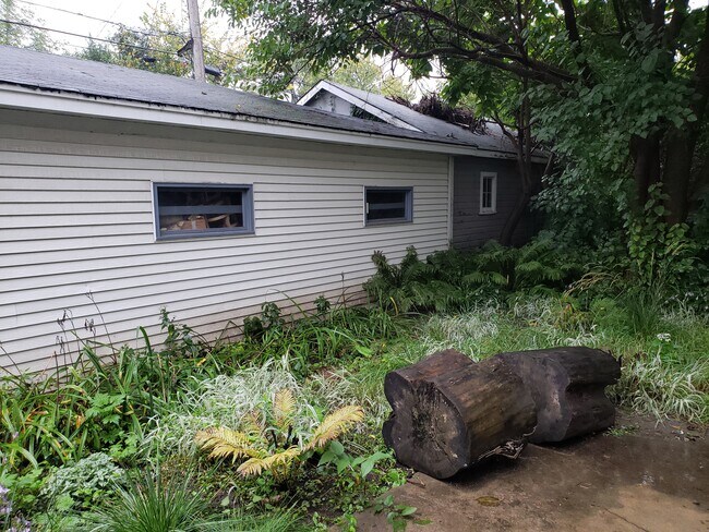 back yard - 1905 Elliot Ave