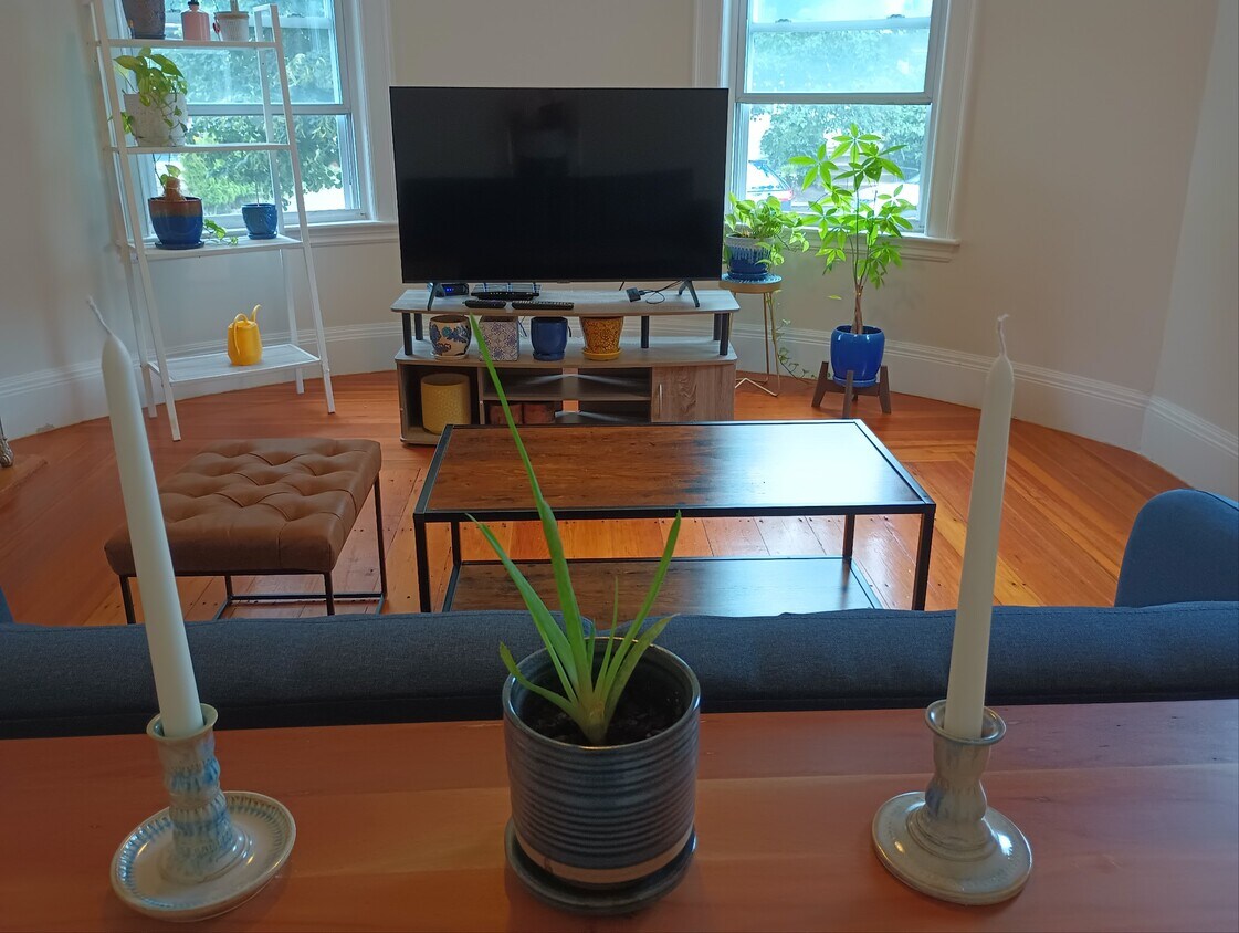 Living Room - 7 Bigelow St