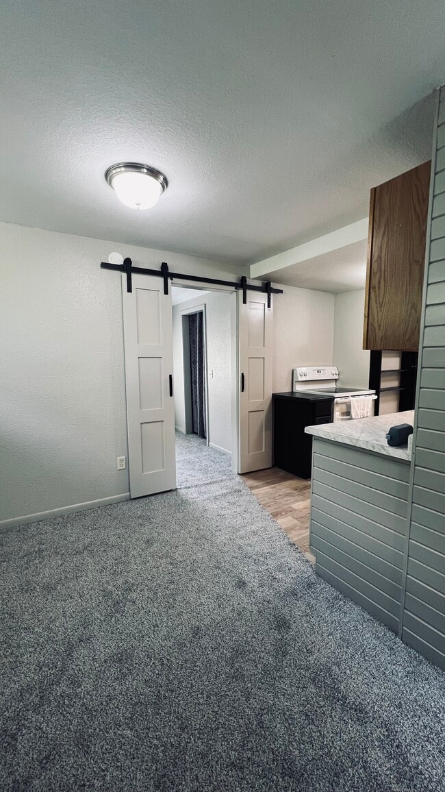 All new carpet and paint. - 336 Grove St SW