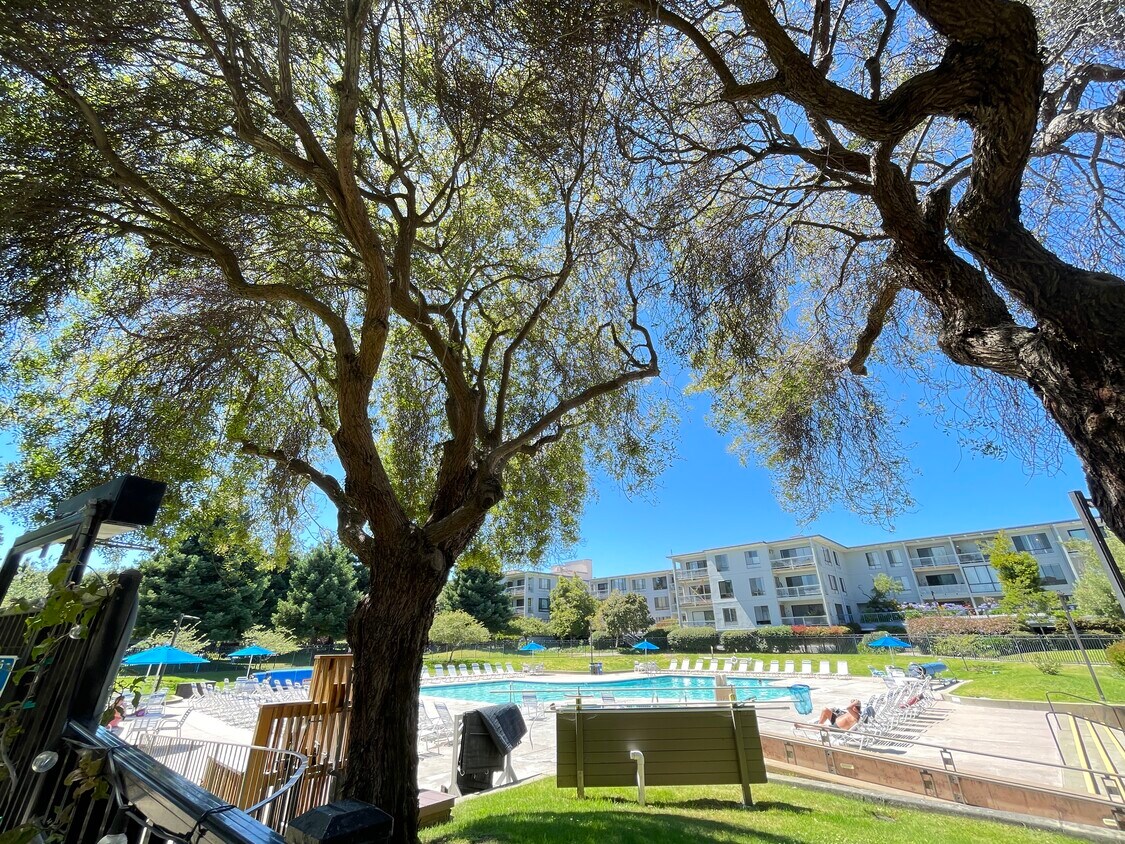 2 Commodore Dr Unit 285, Emeryville, CA 94608 Condo for Rent in