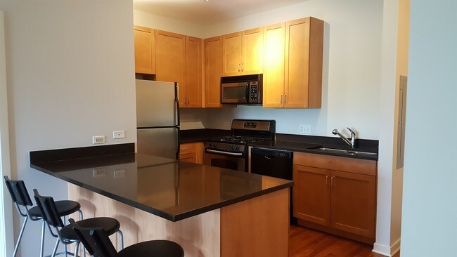 Kitchen _2 - 1155 W Roosevelt Rd