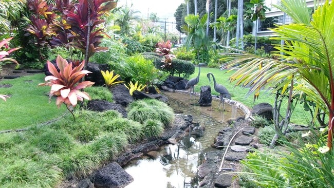 Building Photo - Punahou Cliffs