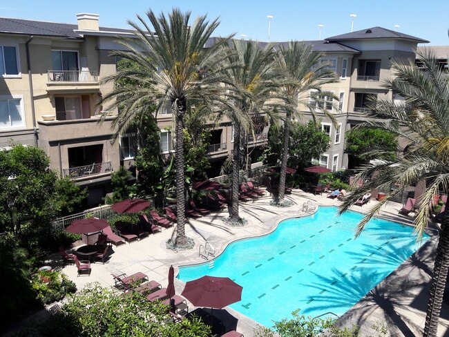 Community pool area - 1801 E Katella Ave
