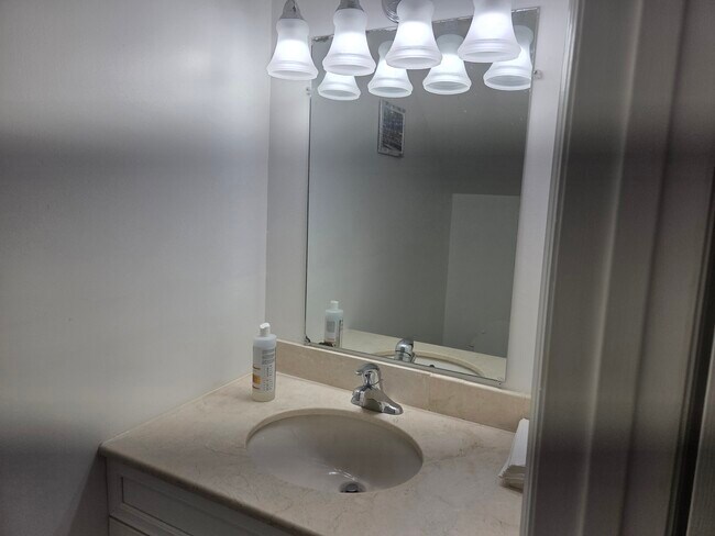 Half bath downstairs - 17317 Whitewater Ct