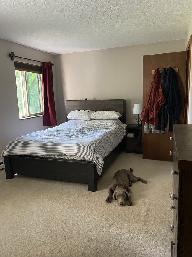 Primary bedroom, with a casper queen bed and dog friendly! - 10 Hideaway Ln