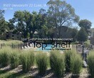 Primary Photo - NOW AVAILABLE!