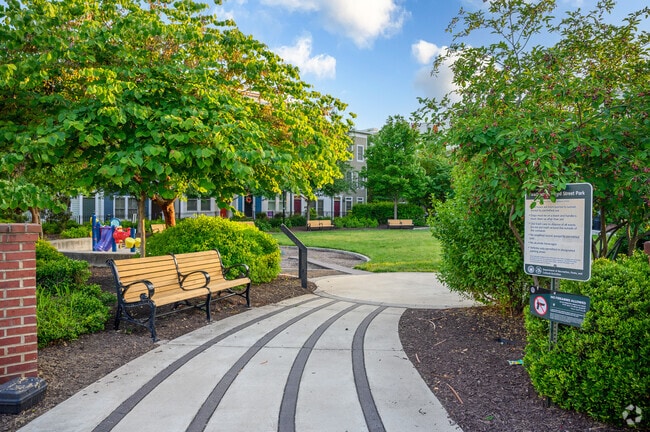 North Afred Street Playground in Old Town is a hidden gem within the city.