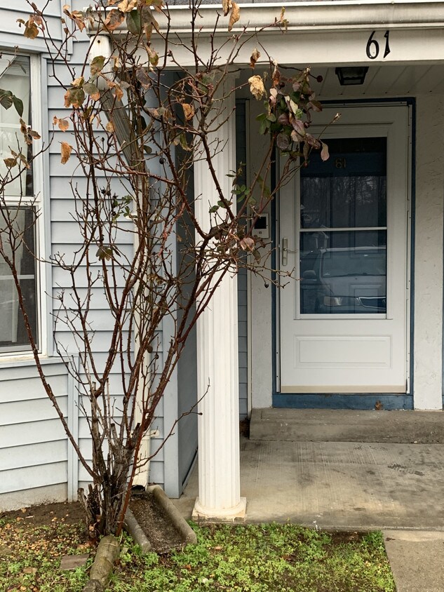 Foto principal - 61 Tanglewood Ct
