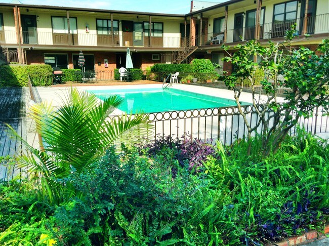 Gran piscina en el patio - 6901 Veterans Memorial Blvd